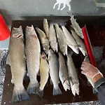 Sea Front * أولدن